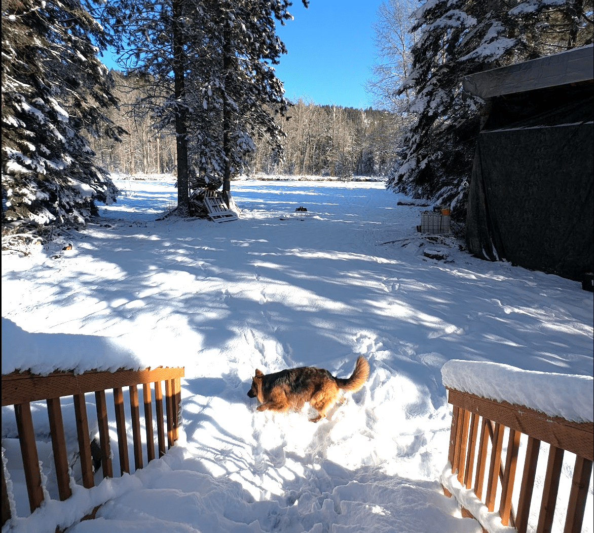 Screenshot%202026-01-03%20at%2011.32.57%E2%80%AFAM-min